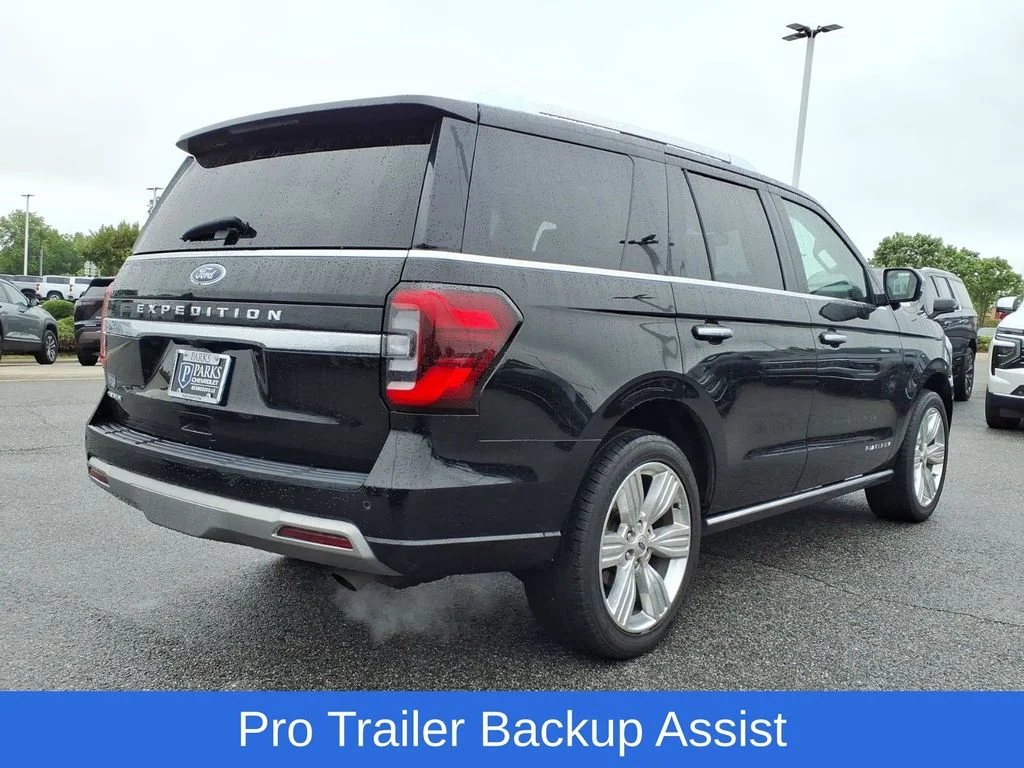 Used 2023 Black Ford Platinum image 33