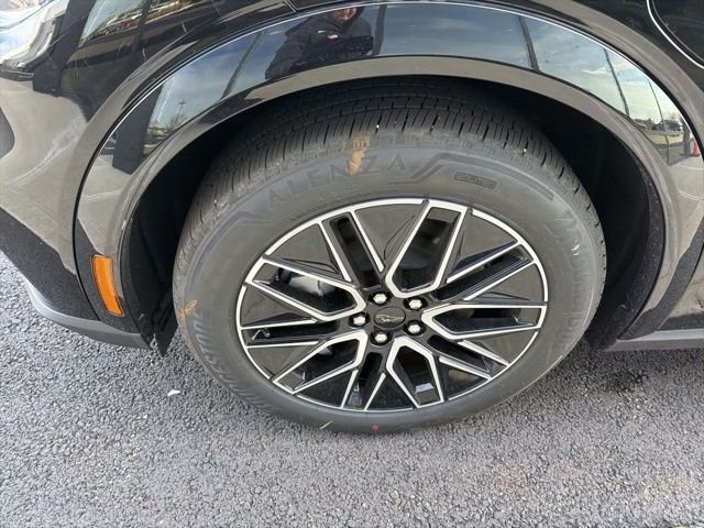 New 2026 Shadow Black Ford Premium image 7