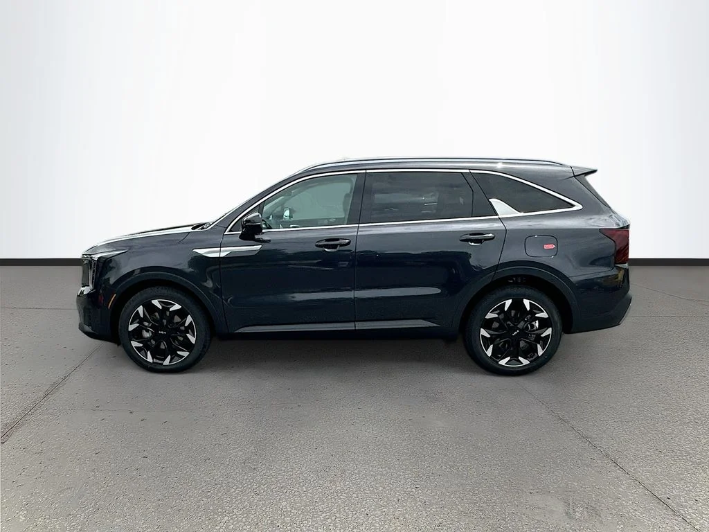 New 2026 Panthera Metal Kia SX image 4