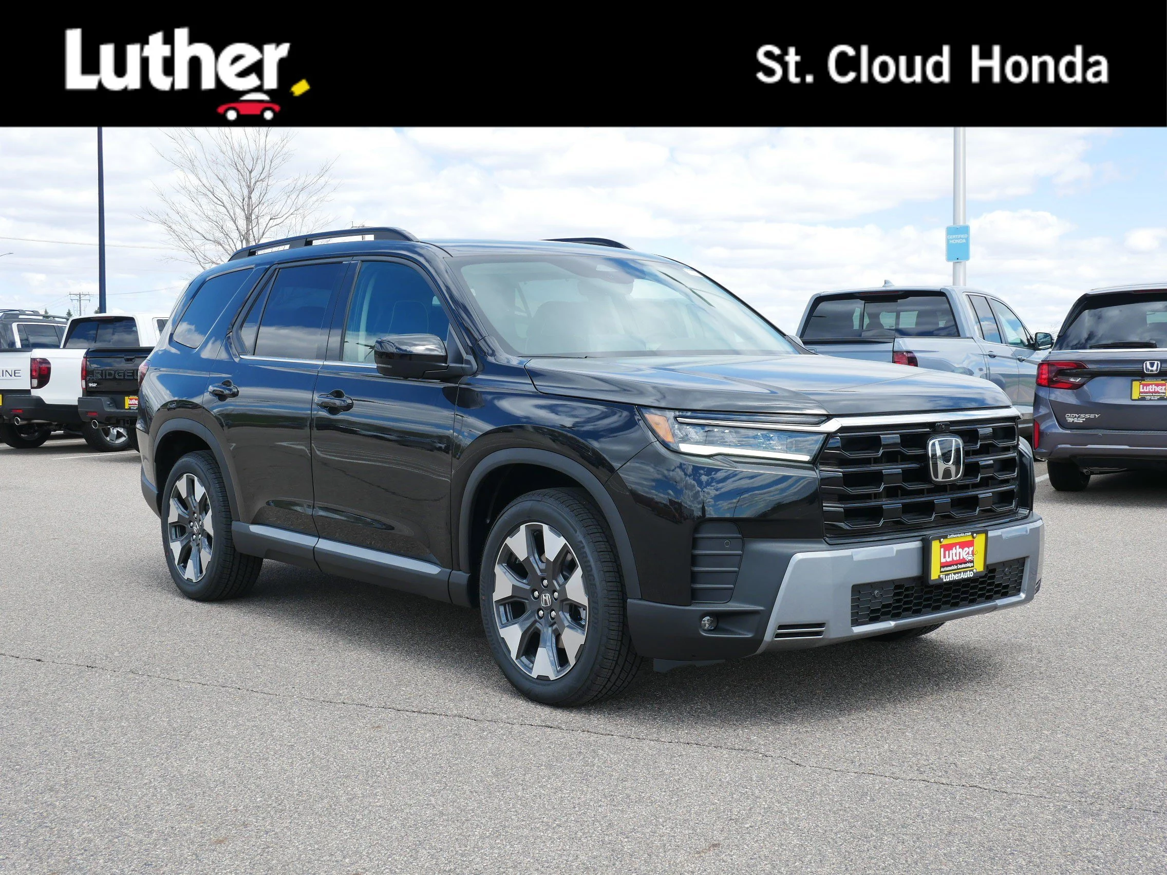 2026 Honda Pilot Elite AWD's photo