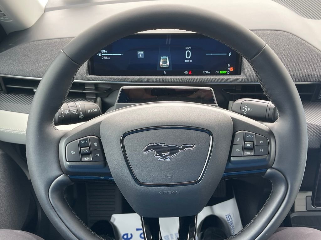 New 2026 Shadow Black Ford Premium image 29