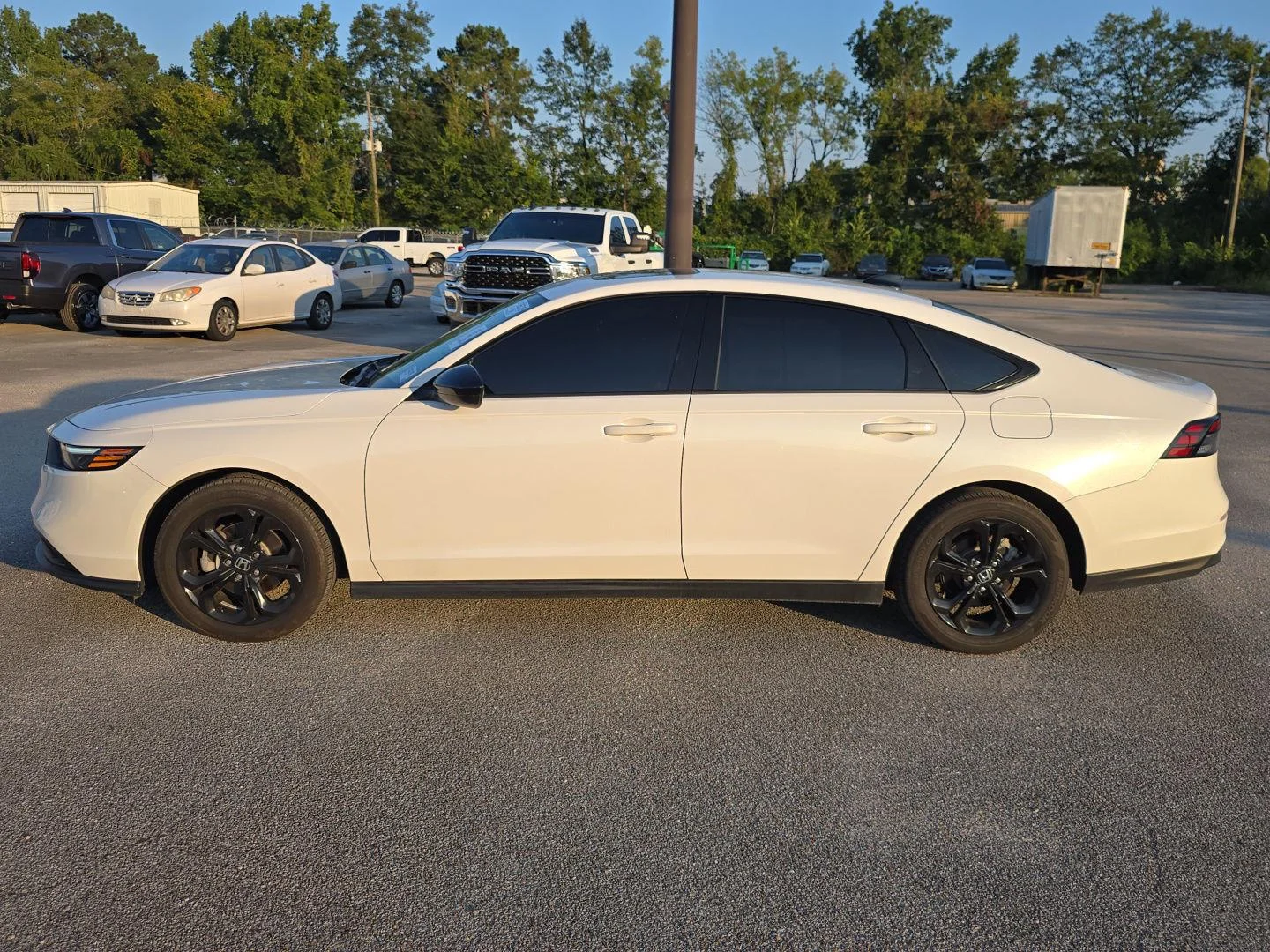 Used 2025 Platinum White Pearl Honda SE image 6