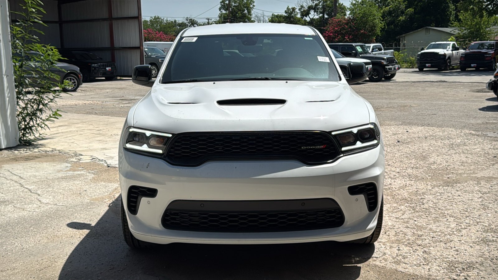 New 2026 White Knuckle Clear-Coat Exterior Paint Dodge GT HEMI V8 image 2