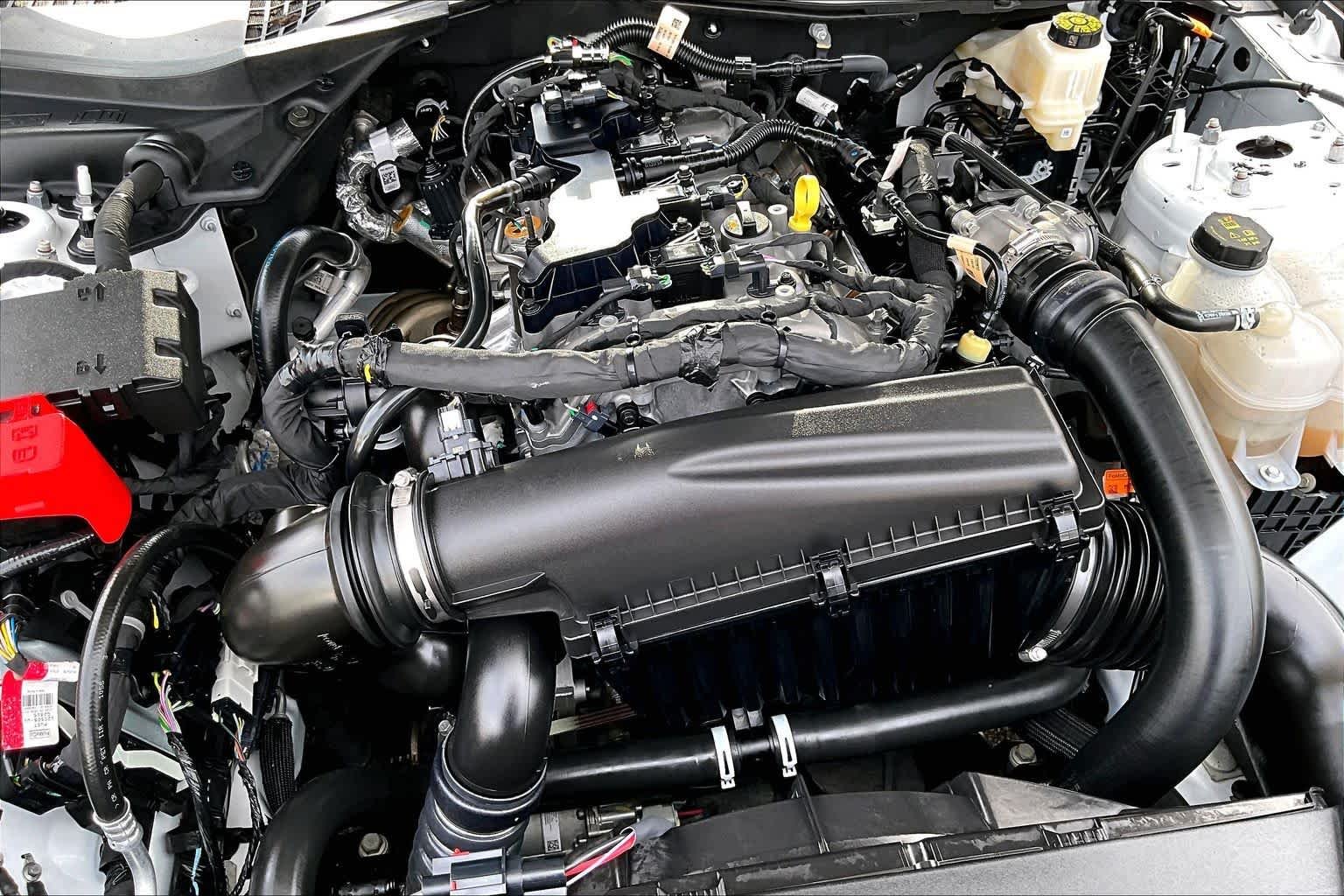 Used 2025 Oxford White Ford EcoBoost image 33