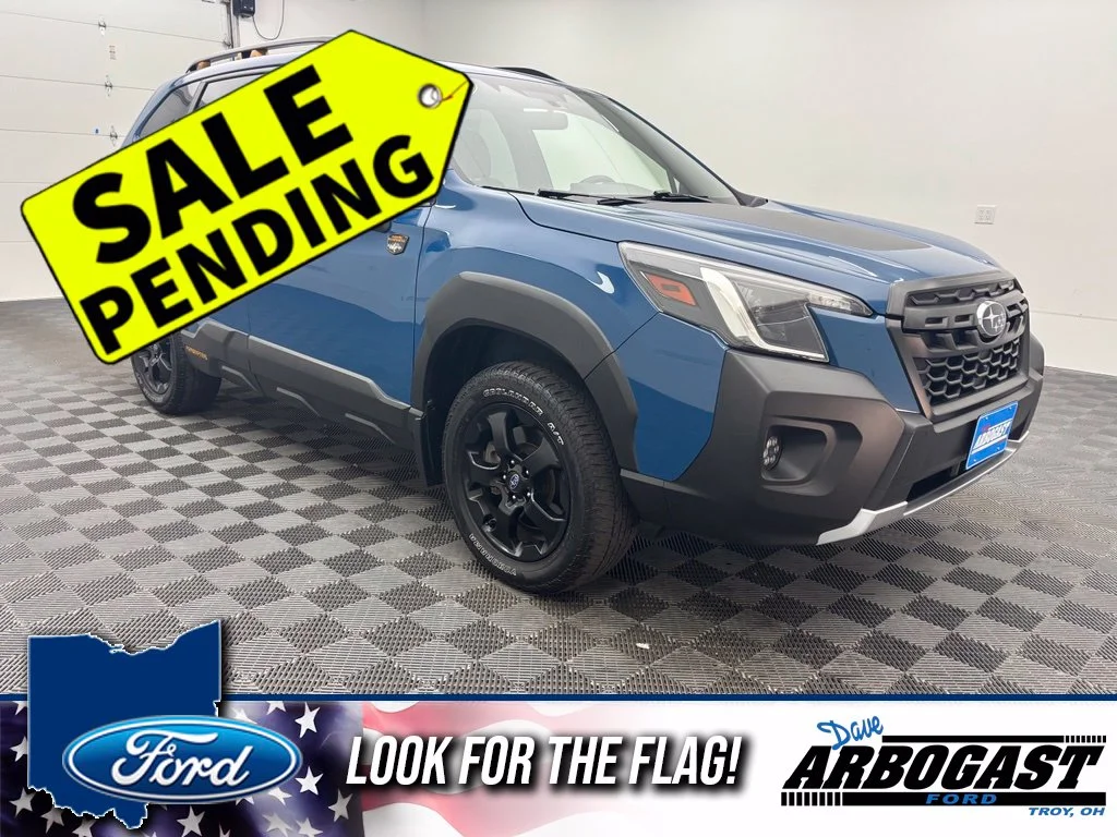 Used 2023 Blue Subaru Wilderness image 1