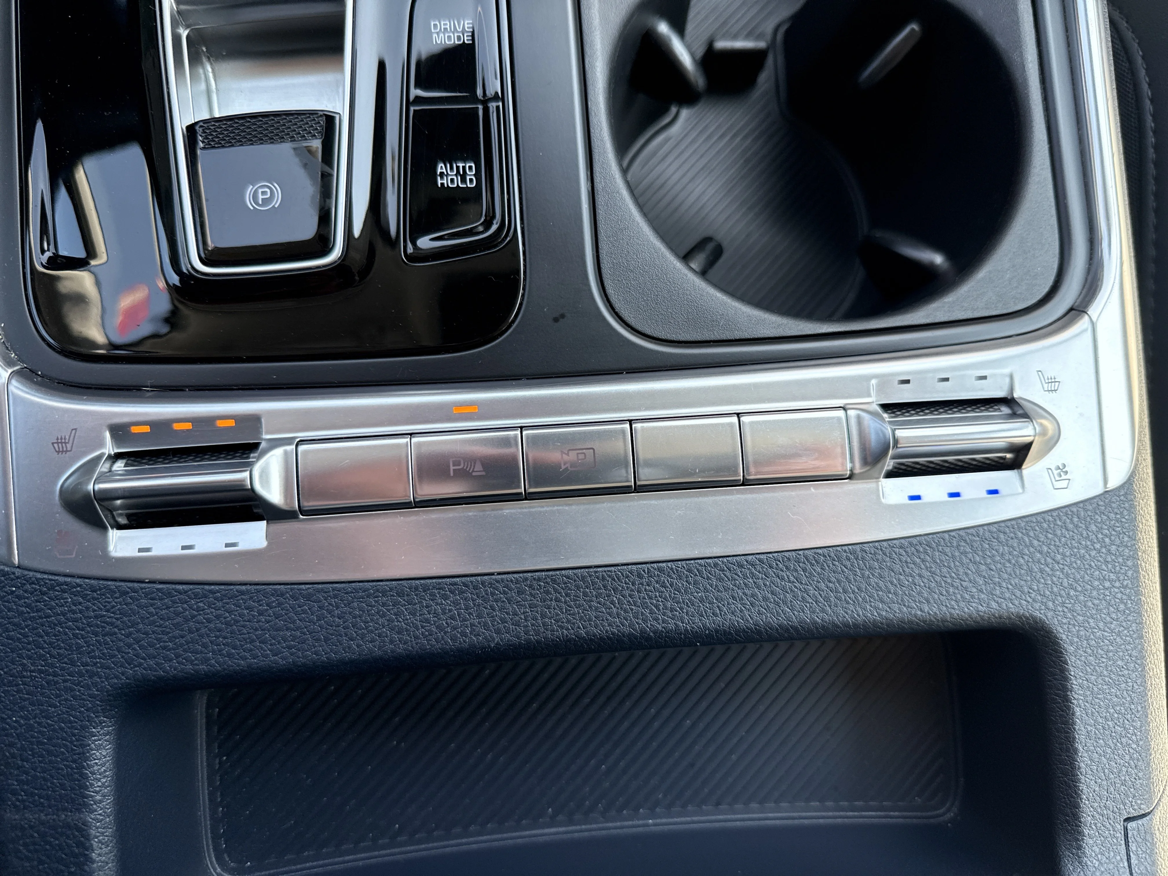 Used 2025 Panthera Metal Kia SX image 29