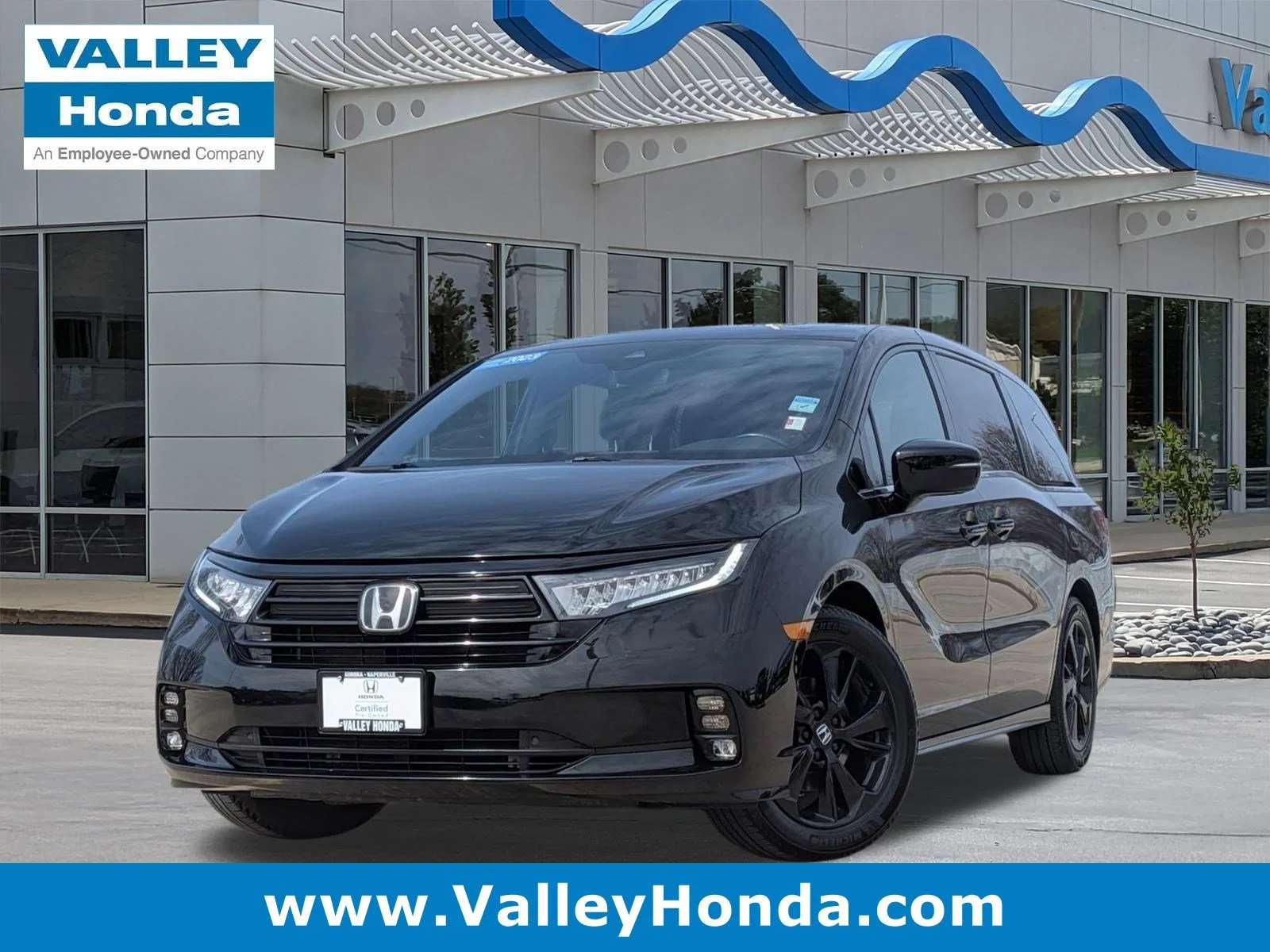 2023 Honda Odyssey SPORT's photo