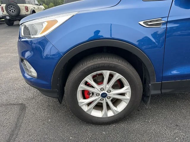 Used 2019 Blue Ford SE image 19