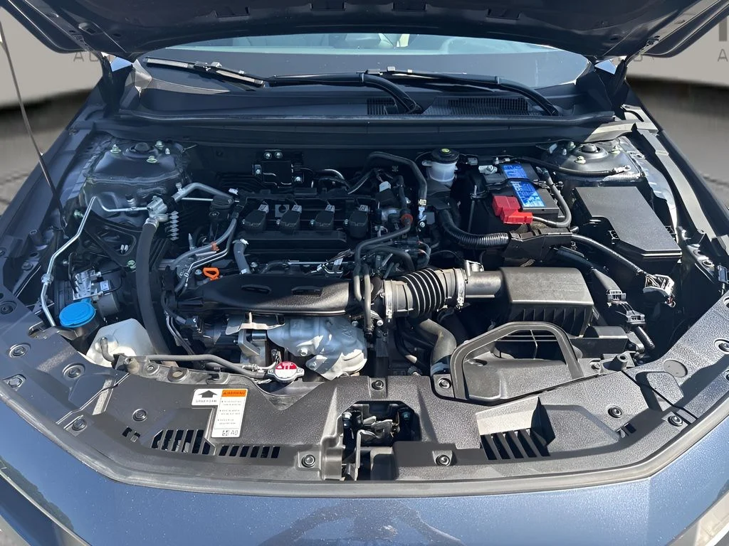 Used 2024 Gray Honda EX image 29
