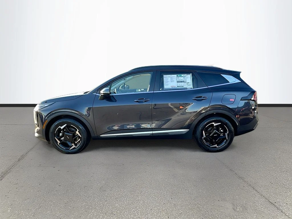 New 2026 Panthera Metal Kia EX image 4