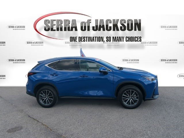 Used 2025 Grecian Water Lexus NX 250 image 10