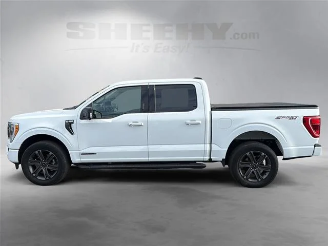 Used 2023  Ford  image 15
