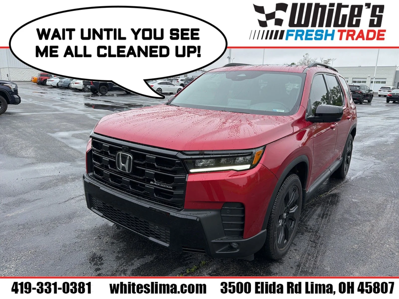 2026 Honda Pilot Black Edition AWD's photo