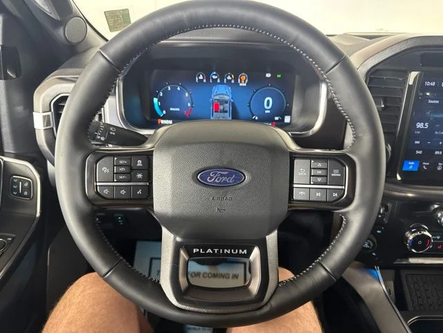 New 2026 Agate Black Metallic Ford Platinum image 16