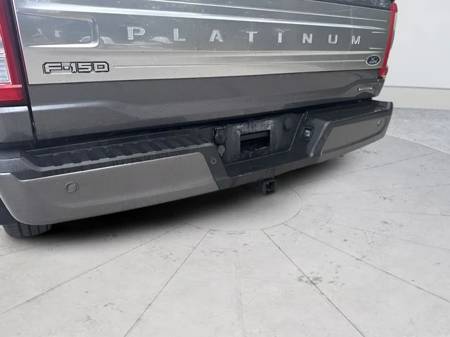 Used 2021 Gray Ford Platinum image 24