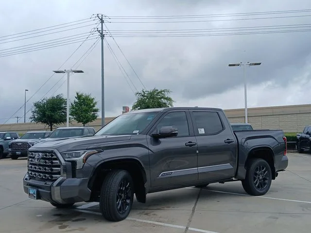 New 2026 Magnetic Gray Metallic Toyota Platinum image 7