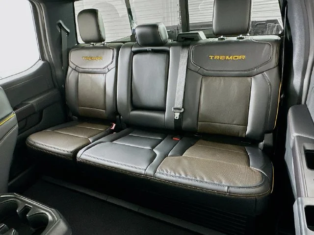 New 2026 Gray Ford Tremor image 11