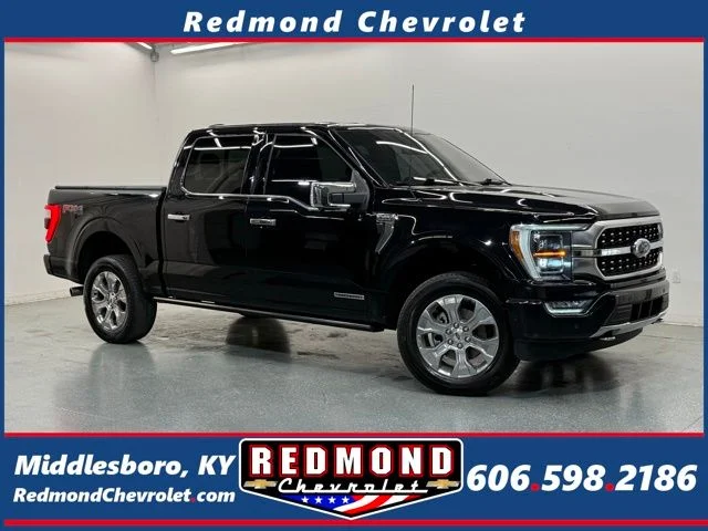 2023 Ford F-150 Platinum