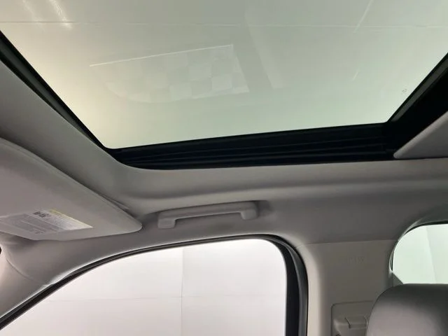 2025 Ford Expedition Active - Photo 22