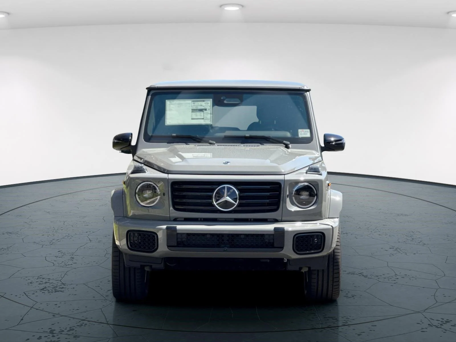 2025 Mercedes-Benz G-Class G580 - Photo 9