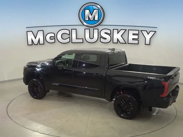 Used 2025 Black Toyota Platinum image 28