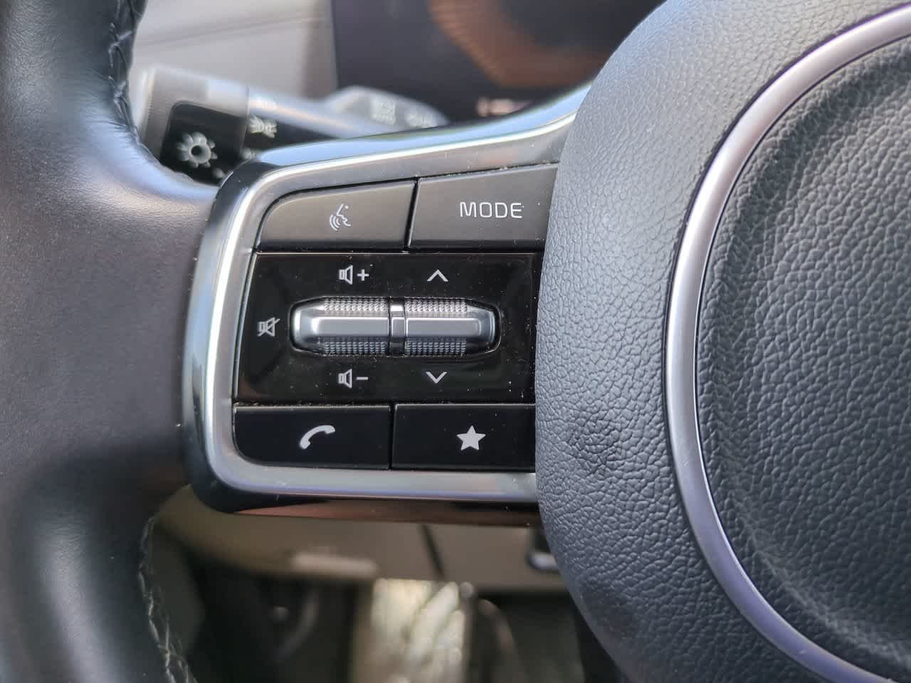 Used 2025 Panthera Metal Kia LXS image 25