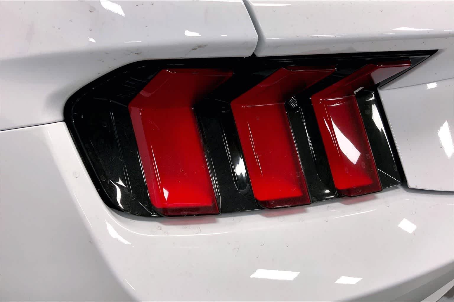 New 2026 Oxford White Ford EcoBoost® Fastback image 14