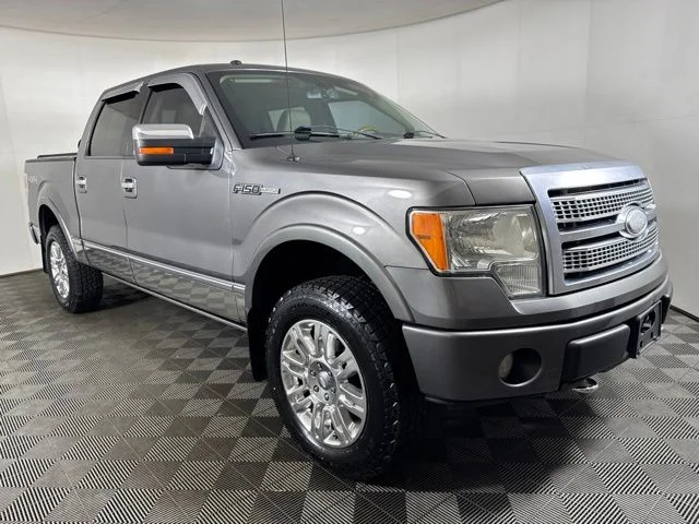 2009 Ford F-150 Platinum