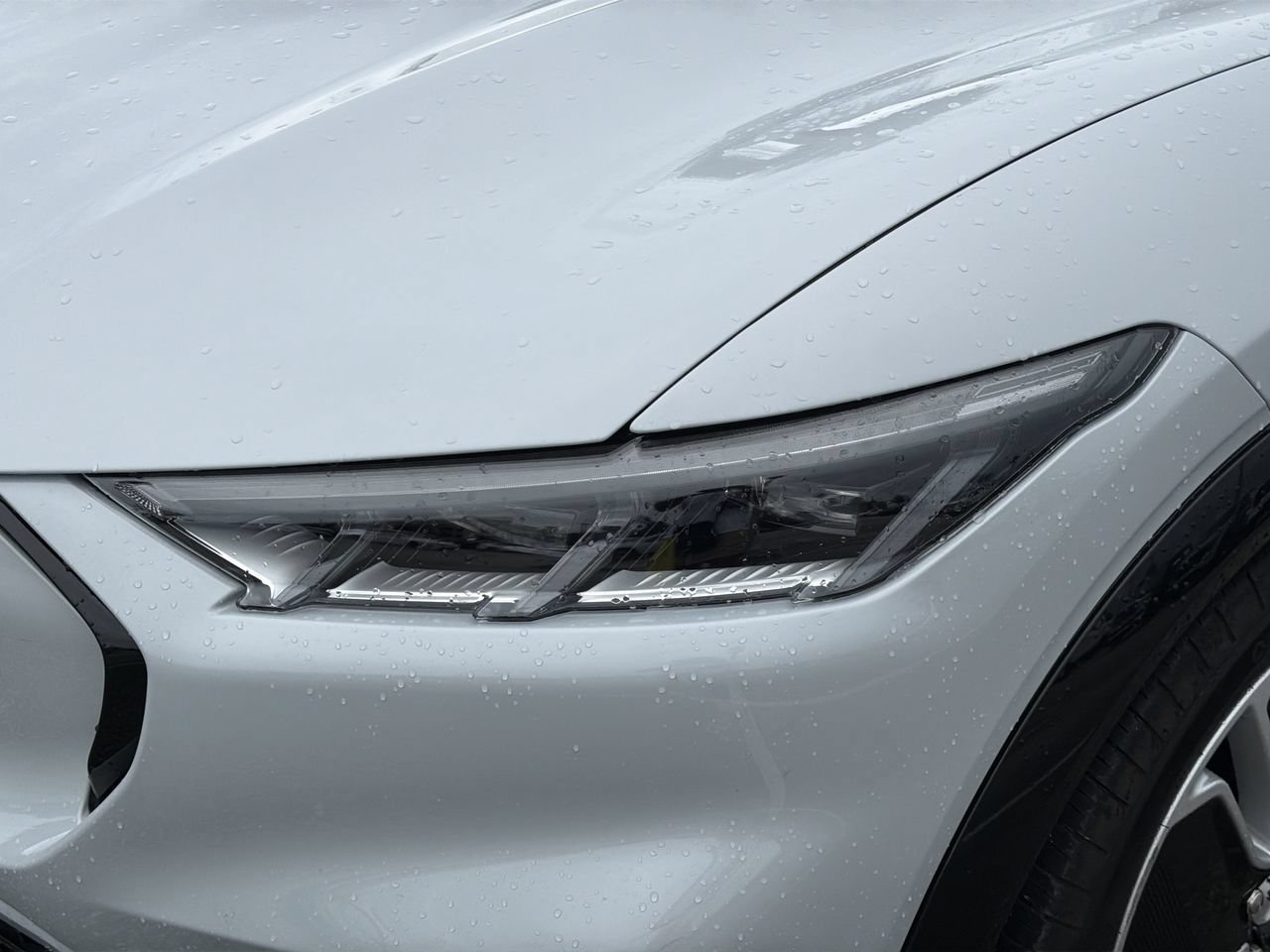 Used 2023 White Metallic Ford Premium image 6