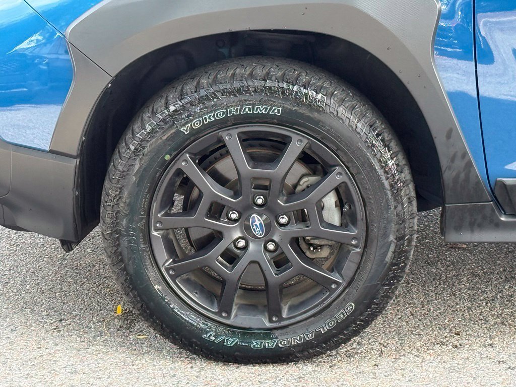 Used 2024 Blue Subaru Wilderness image 6