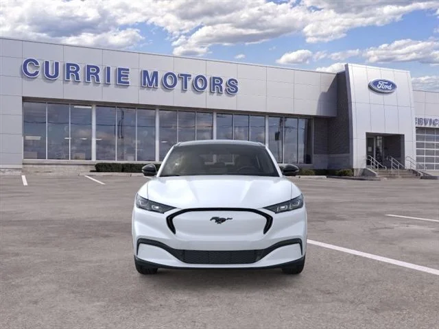 New 2026 Star White Metallic Tri-coat Ford Premium image 6