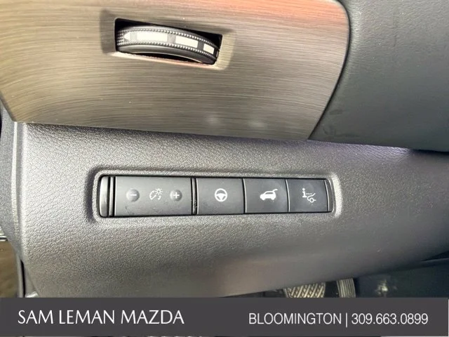 Used 2025 Black Nissan Platinum image 21