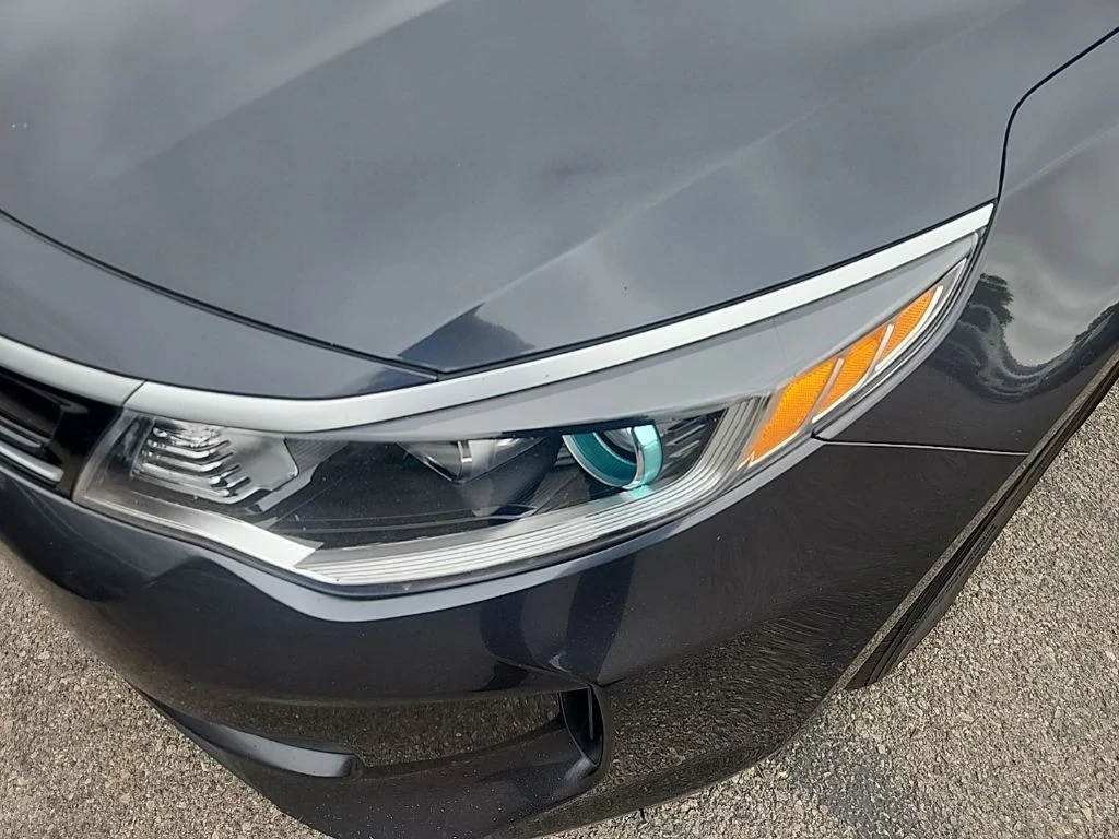 Used 2017 Gray Kia Base image 5