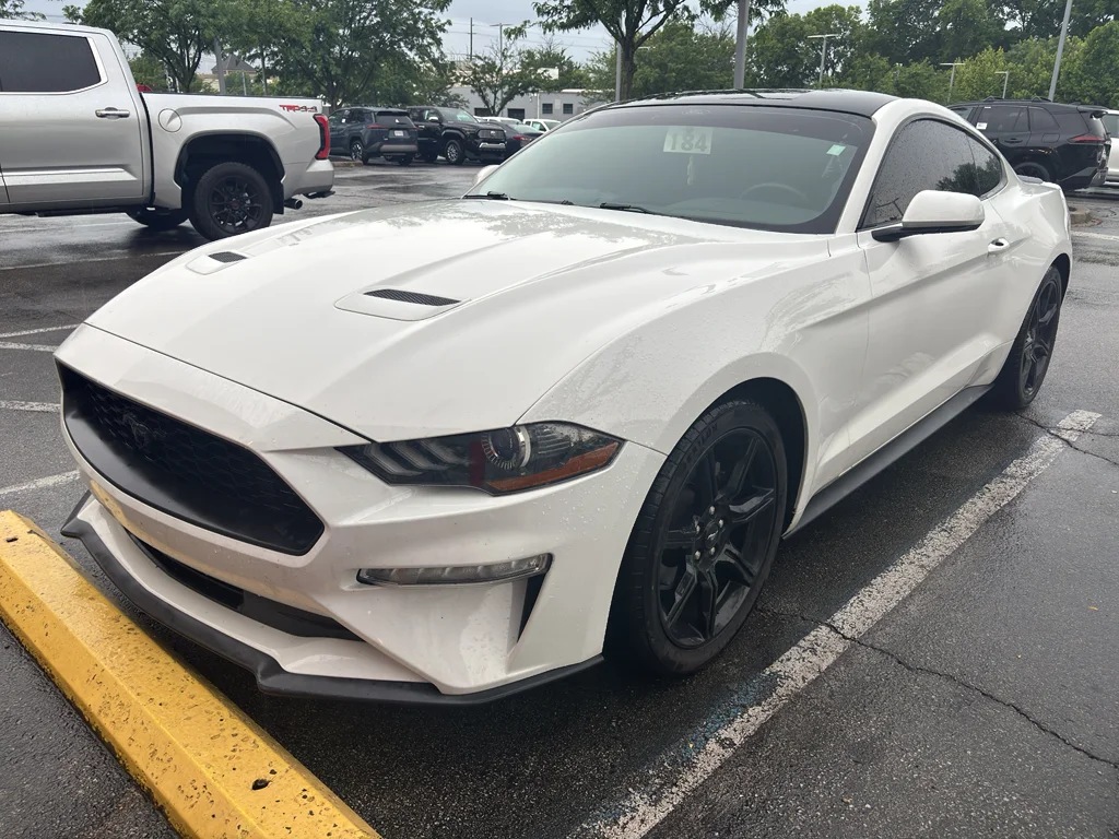 Used 2019 Oxford White Ford EcoBoost image 3