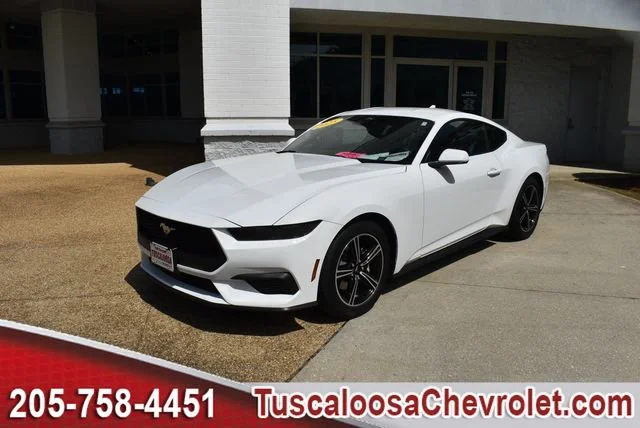 Used 2025 White Ford EcoBoost Fastback image 5