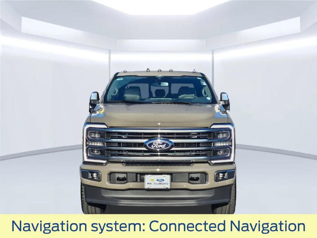 New 2027 Gray Ford Platinum image 19