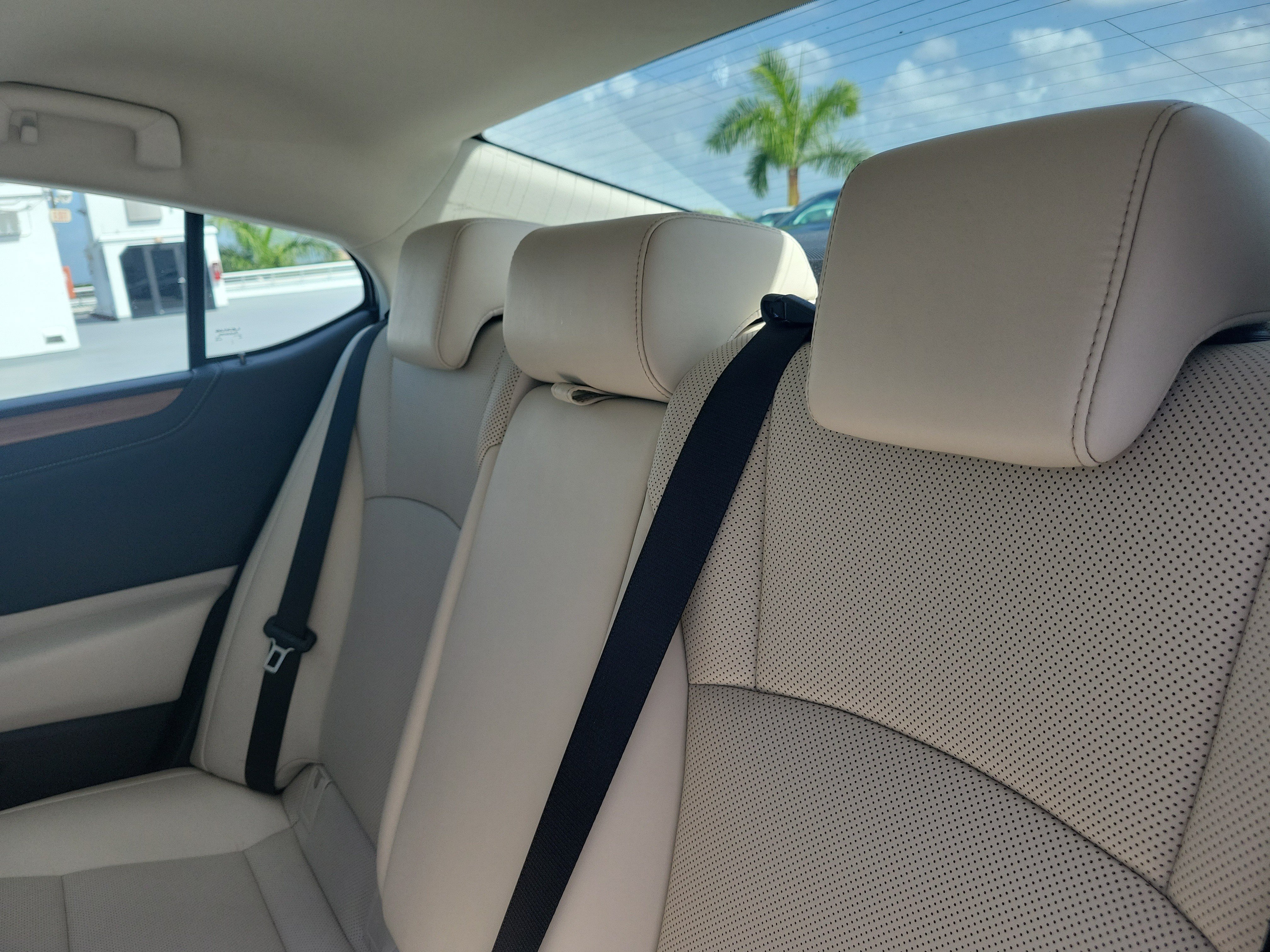 Used 2023 Iridium Lexus 250 image 12