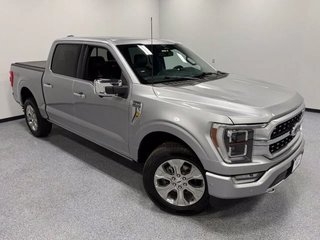 Used 2023 Silver Ford Platinum image 39