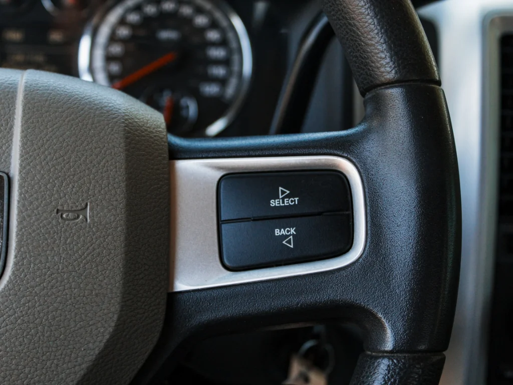 Used 2009 Mineral Gray Metallic Clearcoat Dodge SLT image 13