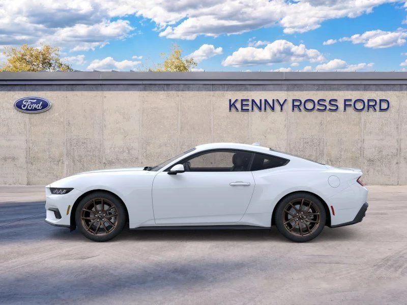New 2025 White Ford EcoBoost Premium image 3