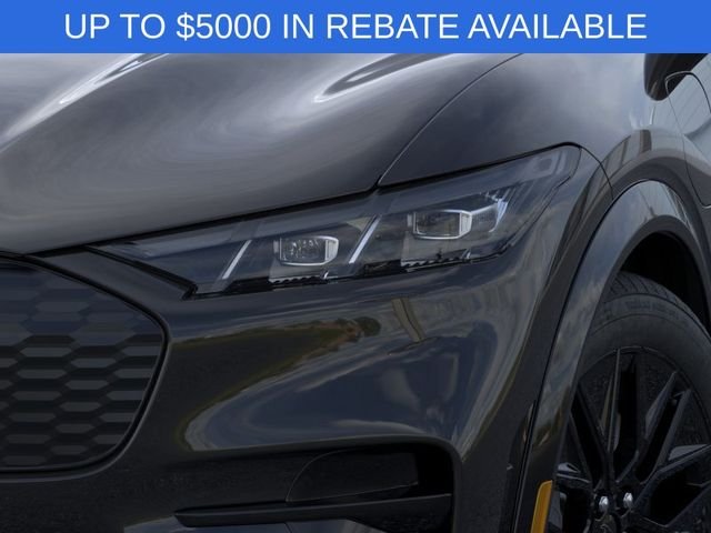 New 2026 Shadow Black Ford Premium image 18