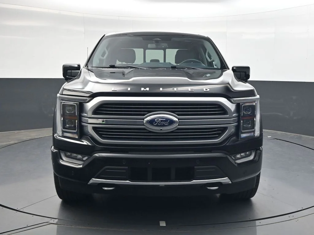 2021 Ford F-150 Limited - Photo 9