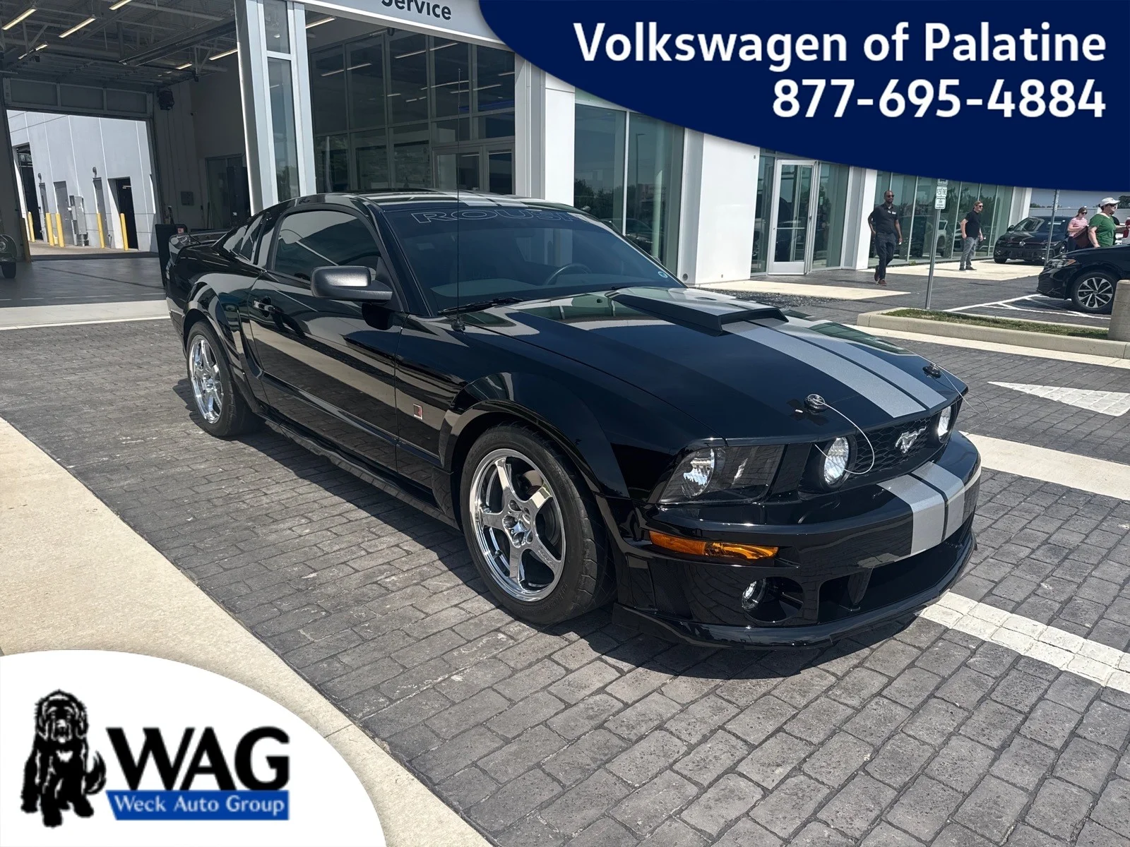 2006 Ford Mustang GT Deluxe's photo