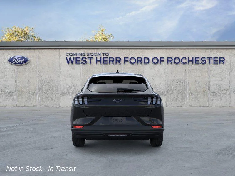 New 2026 Shadow Black Ford Premium image 6