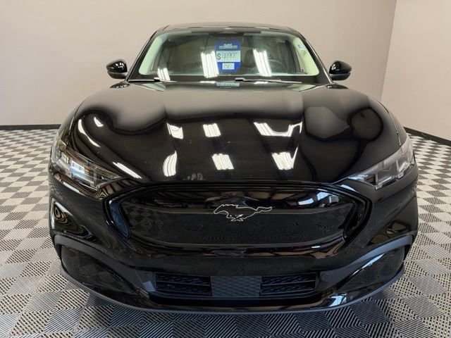 Certified Used 2026 Shadow Black Ford Premium image 4