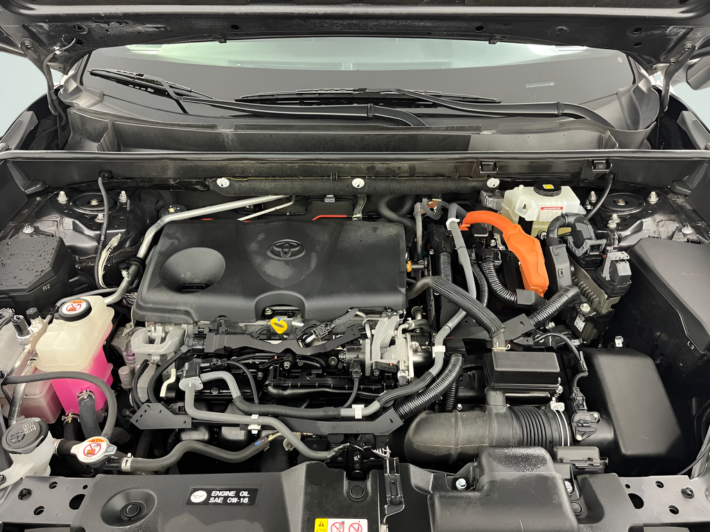 2019 Toyota RAV4 XSE - Photo 20