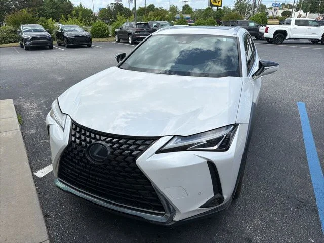 2020 Lexus UX 300h 250h AWD's photo