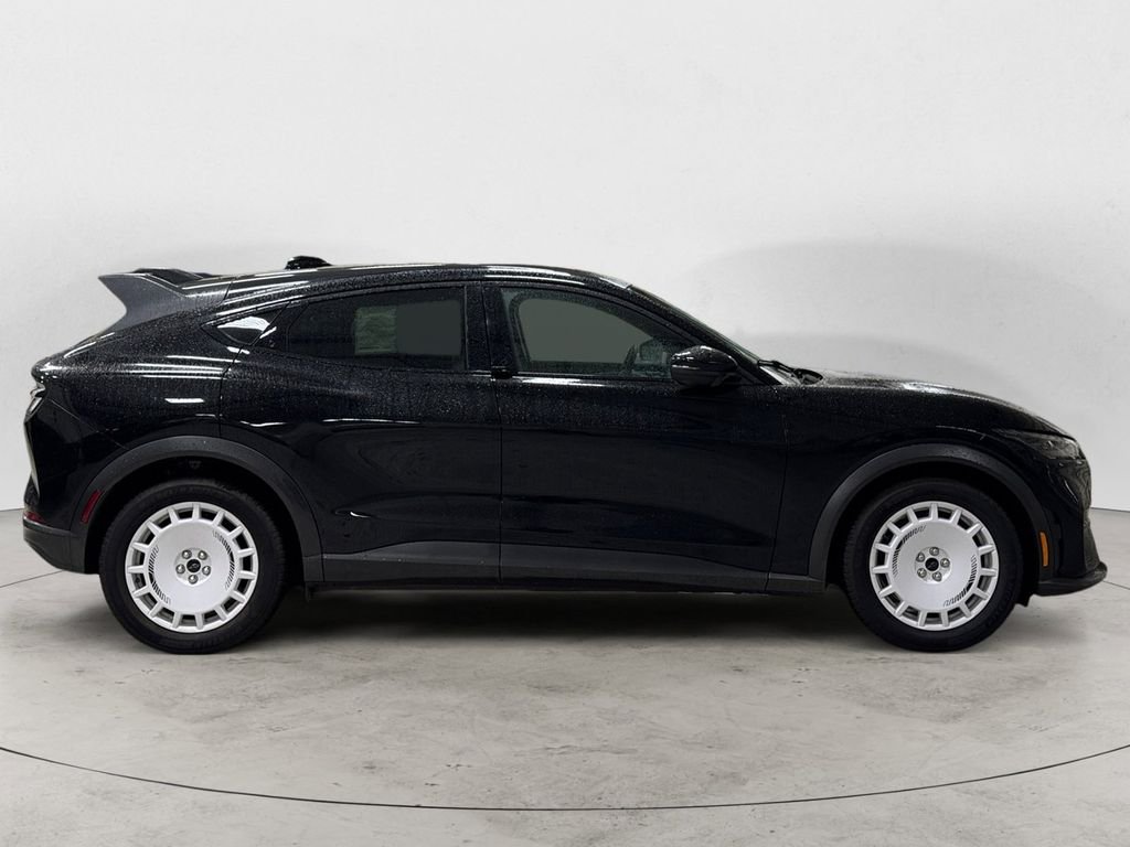 2025 Ford Mustang Mach-E GT - Photo 6