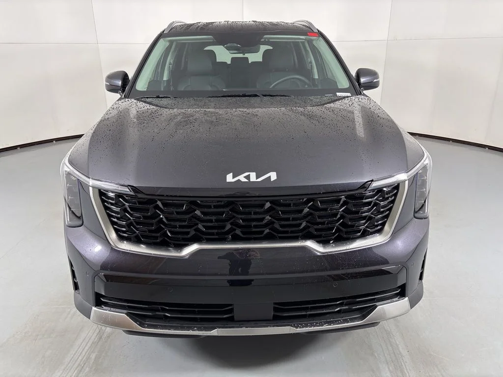 New 2026 Panthera Metal Kia S image 3