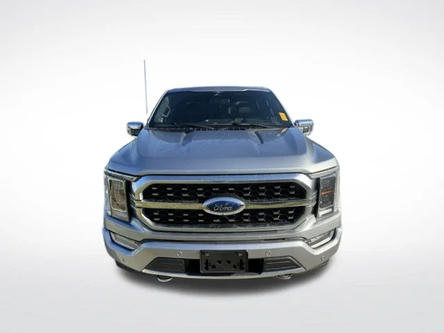 Used 2023 Silver Ford Platinum image 2